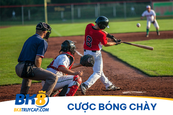 Cược Bóng Chày: Hướng dẫn cách bet bóng chày và mẹo thắng